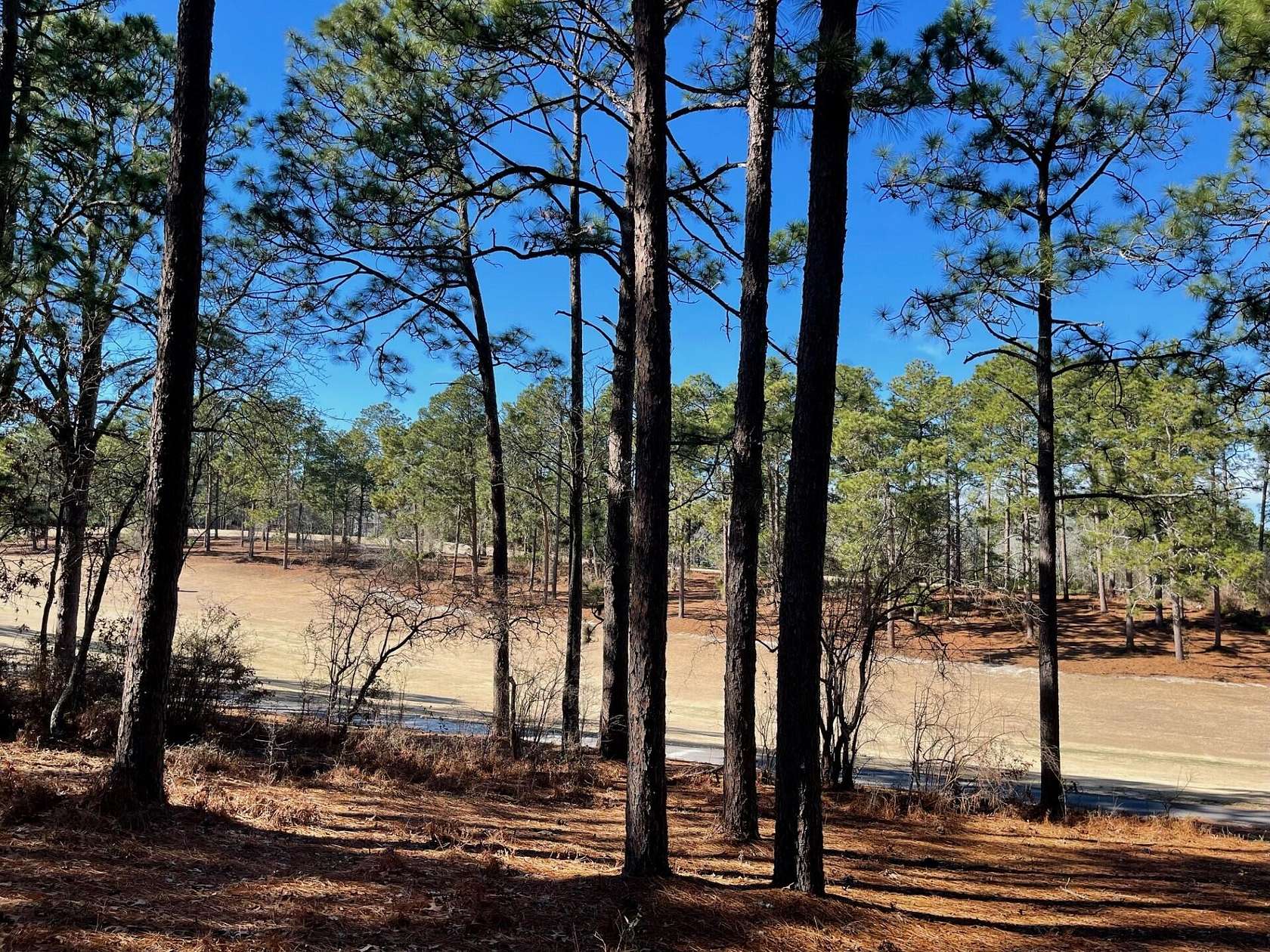 0.7 Acres of Land for Sale in Graniteville, South Carolina