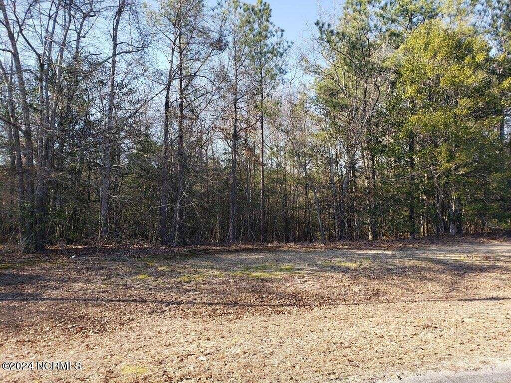 1 Acre of Residential Land for Sale in Snow Hill, North Carolina