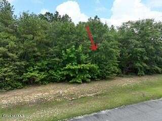 1.01 Acres of Residential Land for Sale in Snow Hill, North Carolina