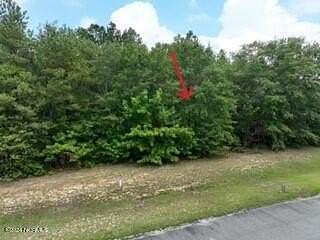 1 Acre of Residential Land for Sale in Snow Hill, North Carolina