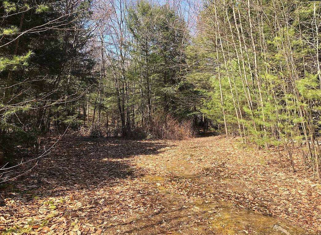 1.31 Acres of Land for Sale in Bolton Landing, New York