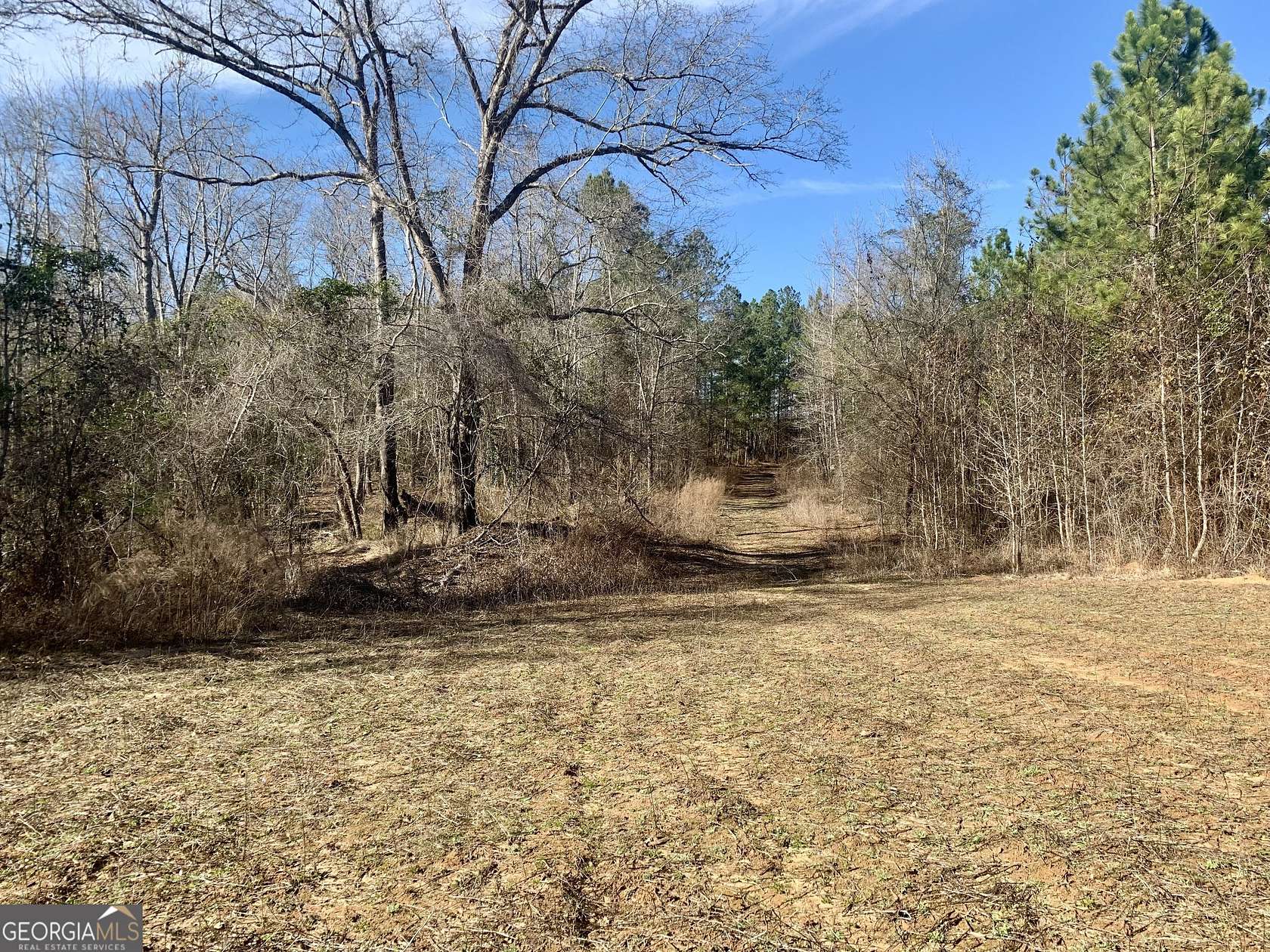 40 Acres of Recreational Land & Farm for Sale in Wrightsville, Georgia
