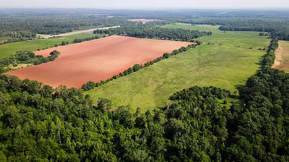301.4 Acres of Land for Sale in Cuthbert, Georgia