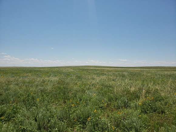 320 Acres of Recreational Land for Sale in Akron, Colorado