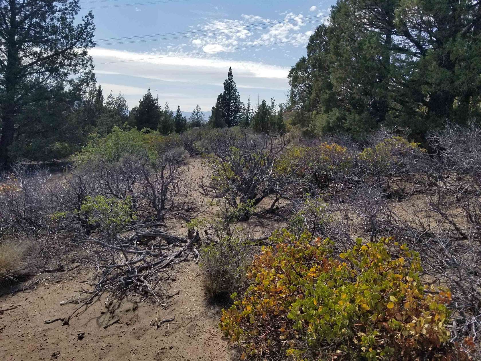 10.2 Acres of Land for Sale in Weed, California