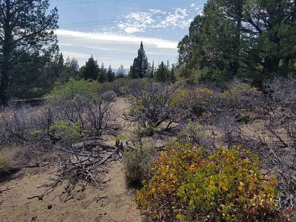 10.16 Acres of Land for Sale in Weed, California