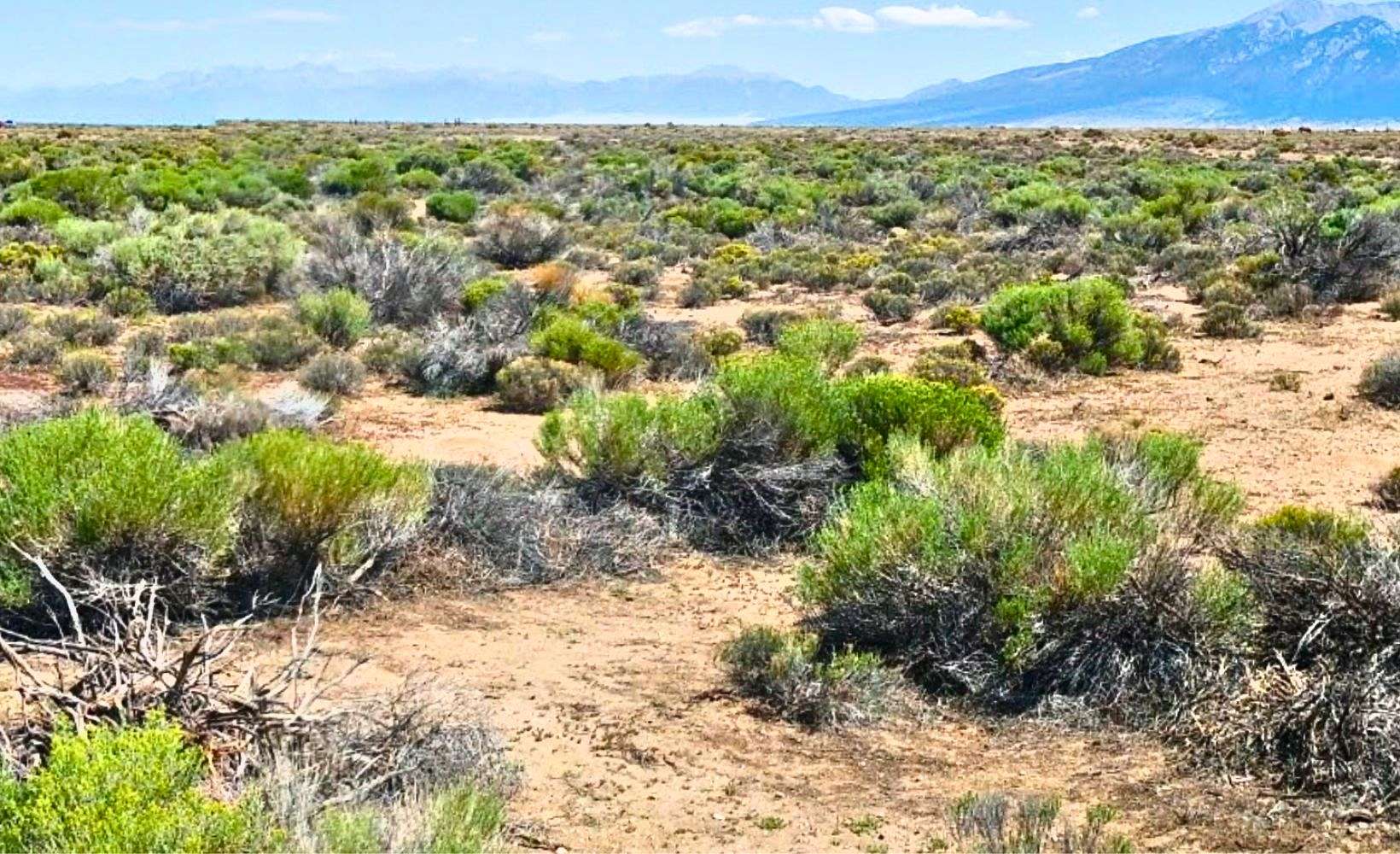 5 Acres of Residential Land for Sale in Blanca, Colorado