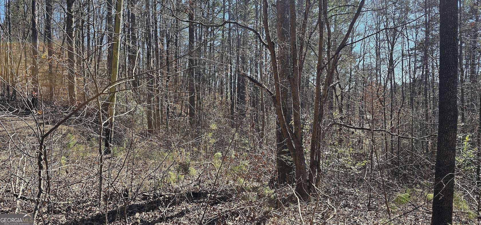 0.29 Acres of Residential Land for Sale in Martin, Georgia