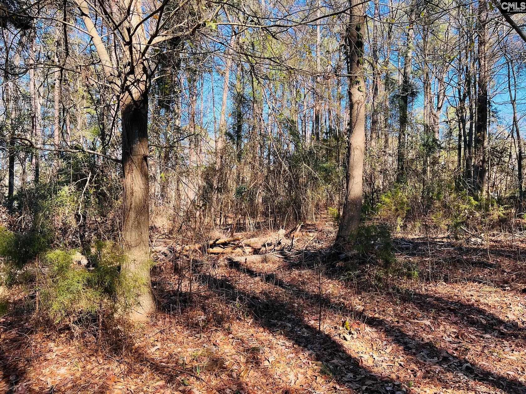 0.22 Acres of Land for Sale in Leesville, South Carolina