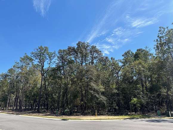 0.56 Acres of Mixed-Use Land for Sale in Niceville, Florida