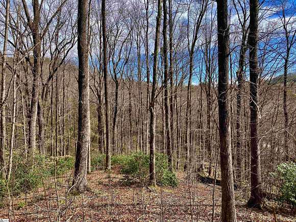 3.2 Acres of Residential Land for Sale in Travelers Rest, South Carolina
