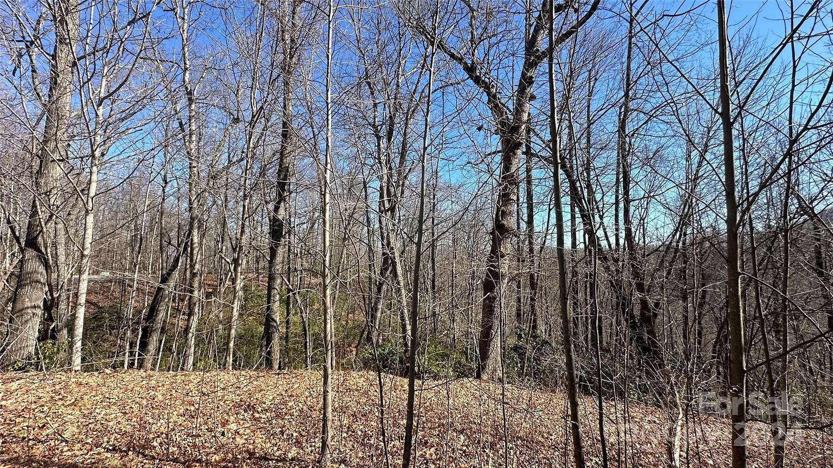 12.3 Acres of Land for Sale in Black Mountain, North Carolina