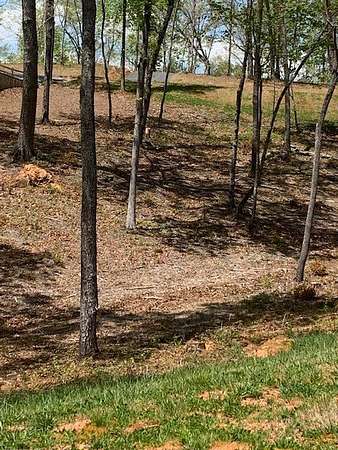 0.97 Acres of Residential Land for Sale in Ellijay, Georgia