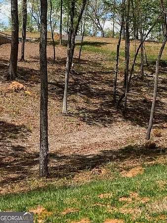 0.97 Acres of Residential Land for Sale in Ellijay, Georgia