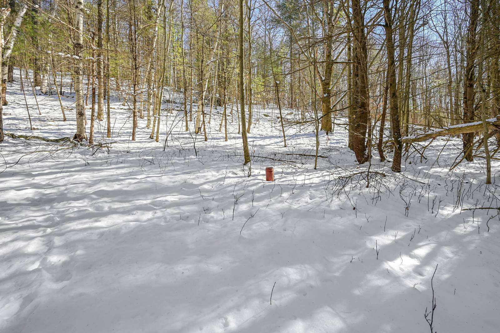 4.5 Acres of Residential Land for Sale in Warnerville, New York