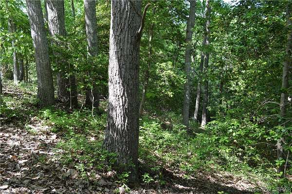 2.36 Acres of Land for Sale in Heathsville, Virginia