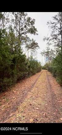 105 Acres of Recreational Land for Sale in Sea Level Township, North Carolina
