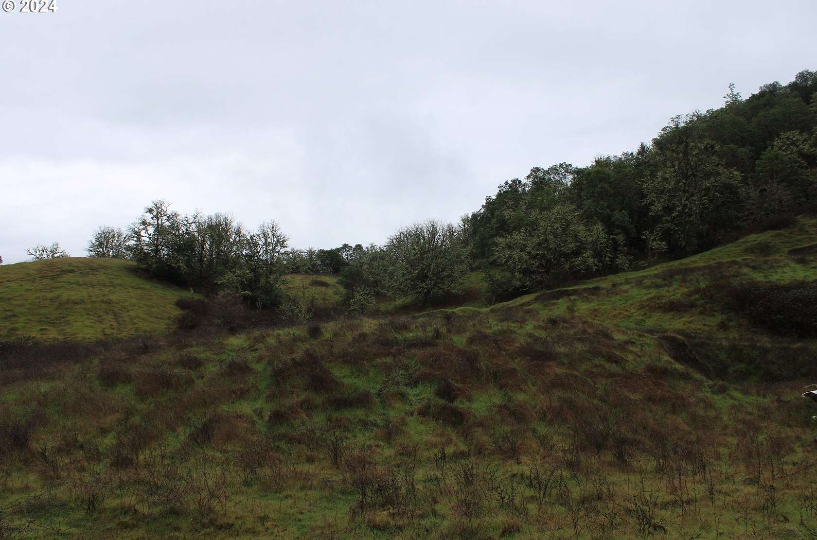 72.5 Acres of Land for Sale in Riddle, Oregon