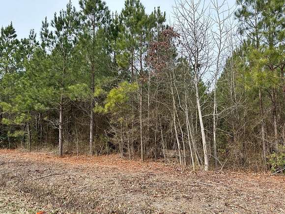 95 Acres of Recreational Land for Sale in Lively, Virginia