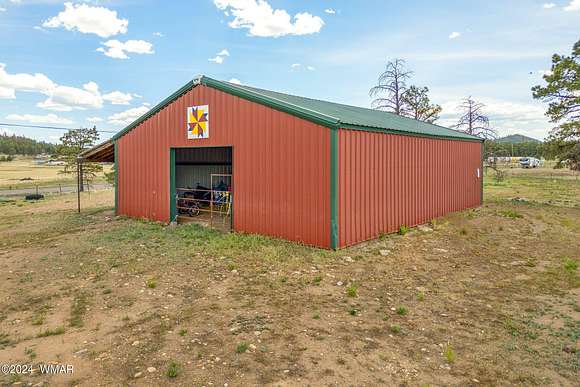 45.87 Acres of Agricultural Land for Sale in Alpine, Arizona