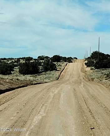40 Acres of Agricultural Land for Sale in Sanders, Arizona