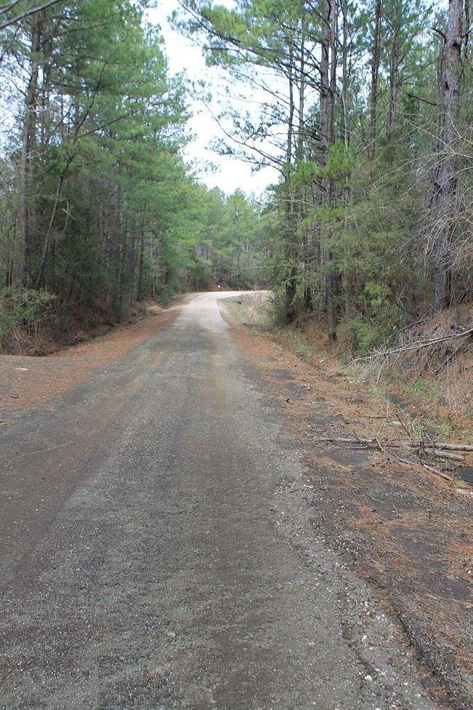 13.6 Acres of Recreational Land for Sale in San Augustine, Texas