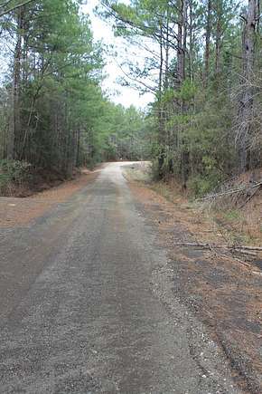 13.58 Acres of Recreational Land for Sale in San Augustine, Texas