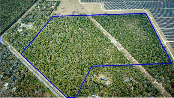 66.6 Acres of Recreational Land for Sale in Fort White, Florida