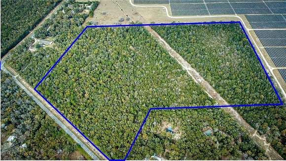 66.59 Acres of Recreational Land for Sale in Fort White, Florida