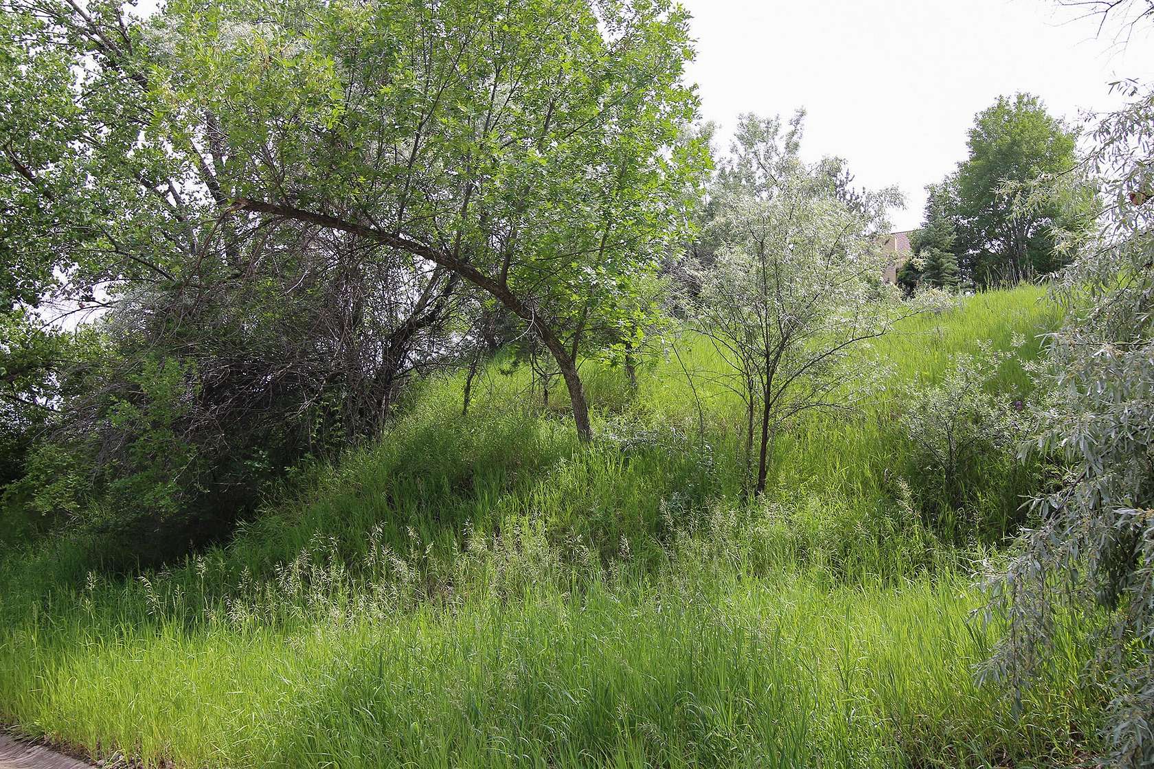 0.5 Acres of Residential Land for Sale in Sheridan, Wyoming