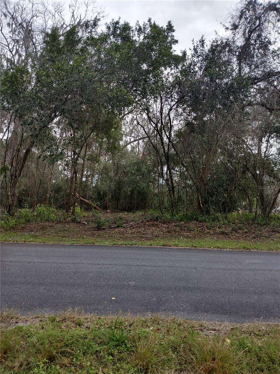 0.23 Acres of Residential Land for Sale in Floral City, Florida