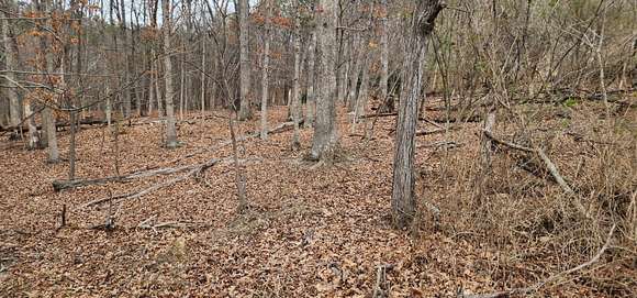 0.55 Acres of Residential Land for Sale in Roanoke, Virginia