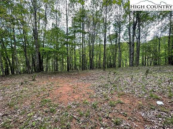 22.9 Acres of Recreational Land for Sale in Jefferson, North Carolina