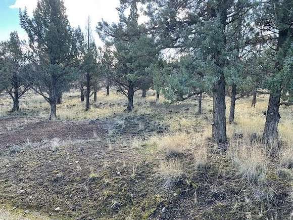 0.25 Acres of Residential Land for Sale in Weed, California