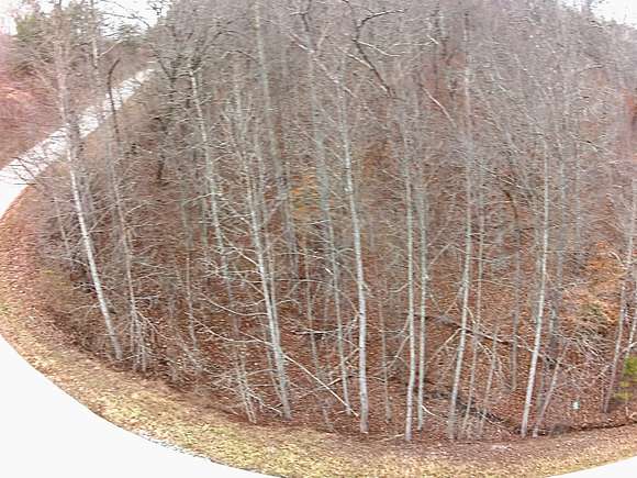 4.1 Acres of Residential Land for Sale in Rockwood, Tennessee