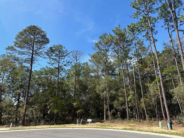0.62 Acres of Mixed-Use Land for Sale in Niceville, Florida