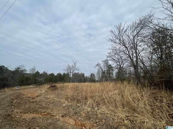 0.5 Acres of Land for Sale in Ranburne, Alabama