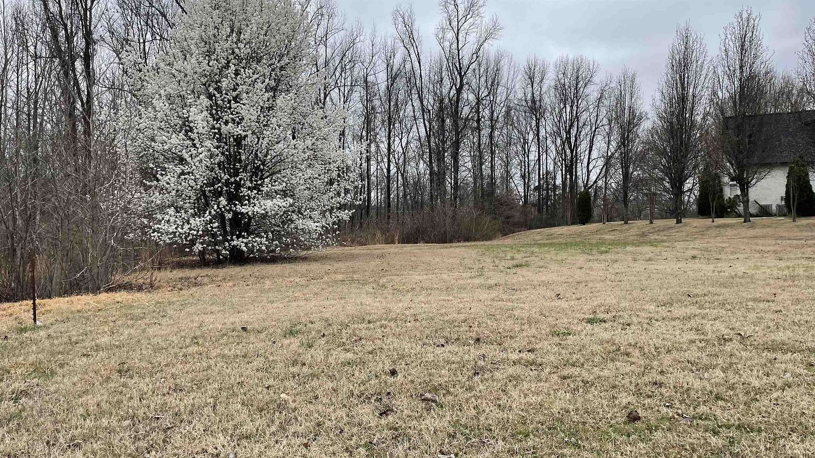 1 Acre of Residential Land for Sale in Memphis, Tennessee