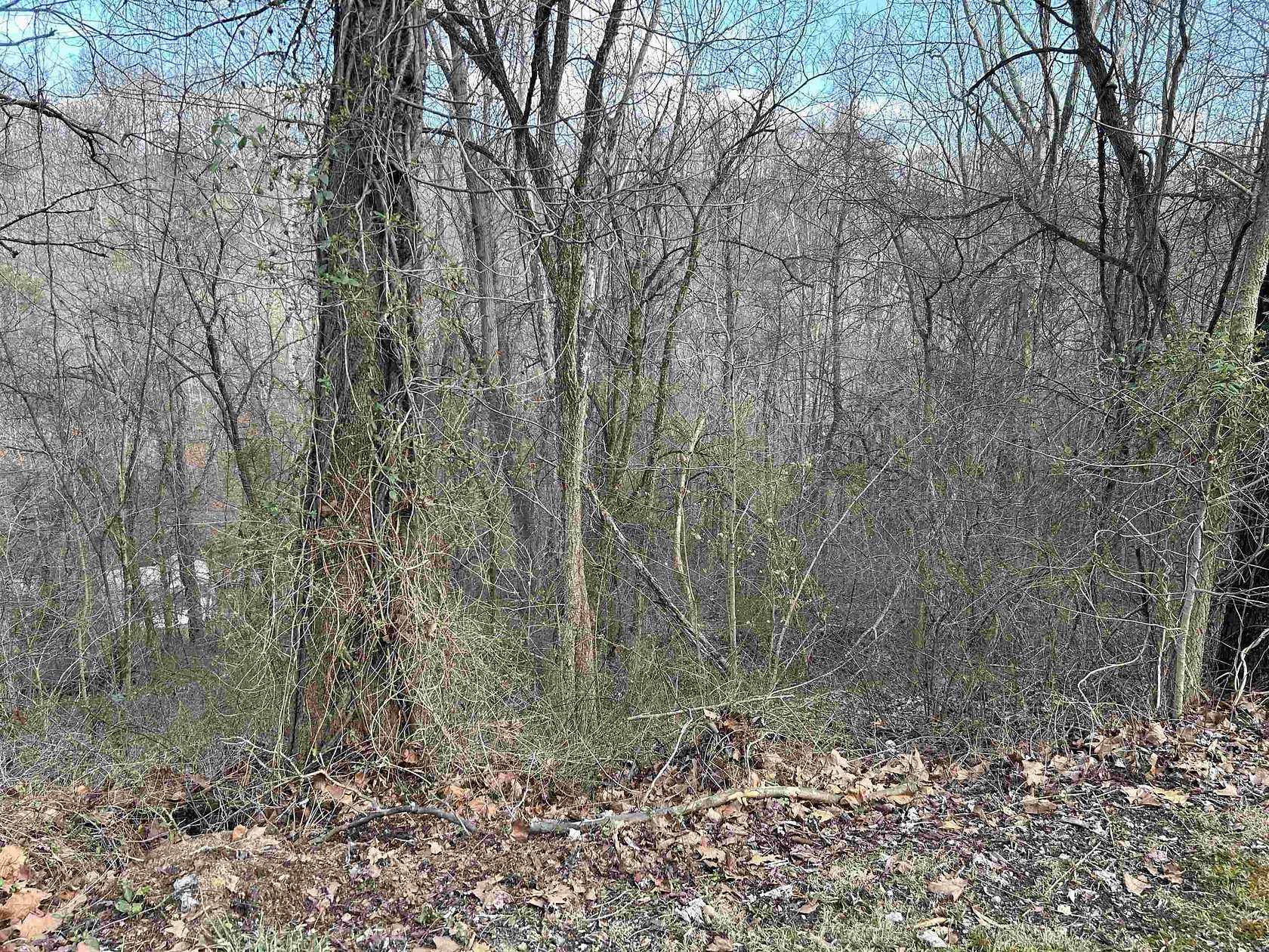 3.6 Acres of Residential Land for Sale in Ironton, Ohio