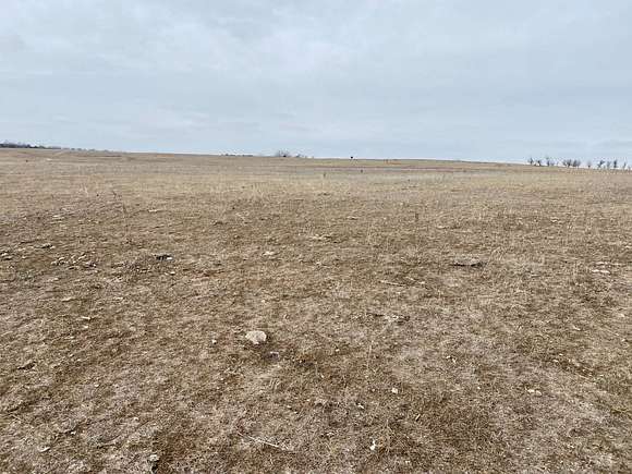 161 Acres of Agricultural Land for Sale in Meadow Grove, Nebraska