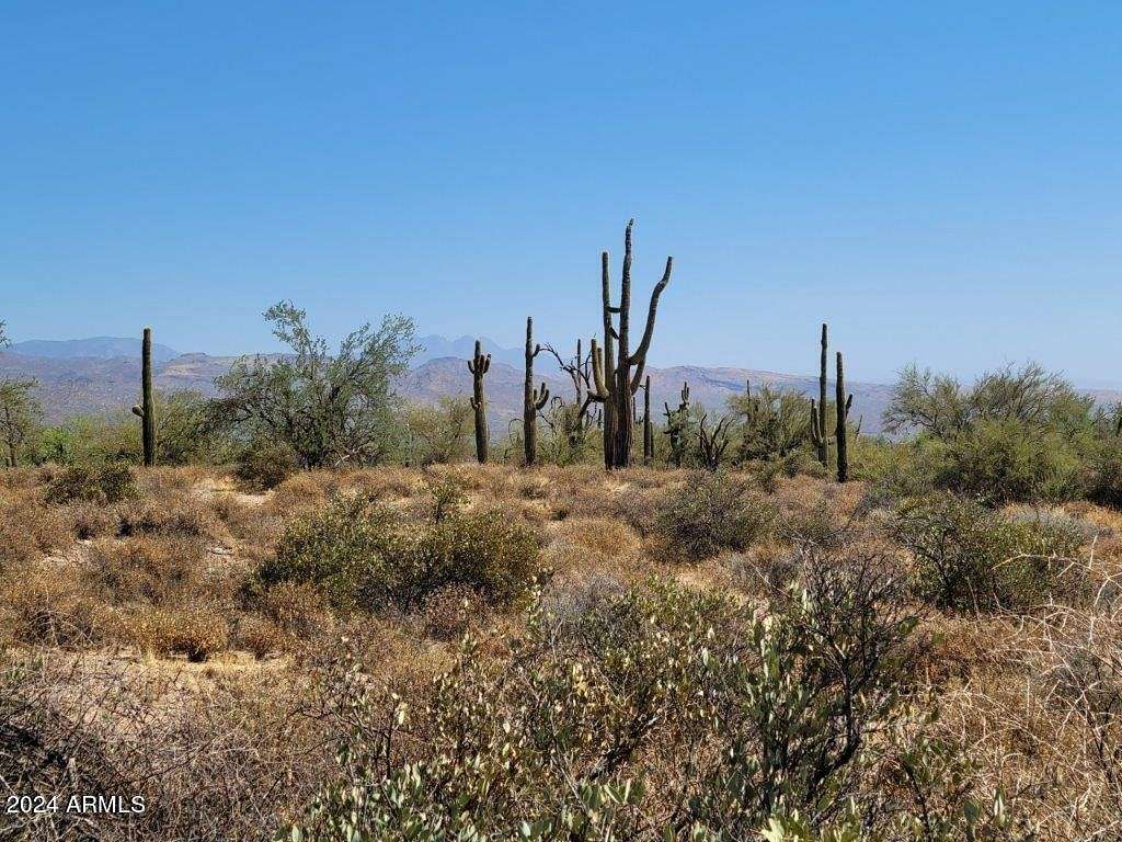10 Acres of Agricultural Land for Sale in Rio Verde, Arizona
