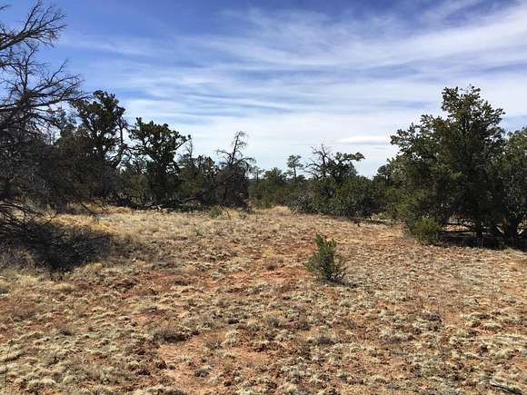 2.5 Acres of Residential Land for Sale in Ramah, New Mexico
