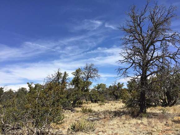 2.5 Acres of Residential Land for Sale in Ramah, New Mexico