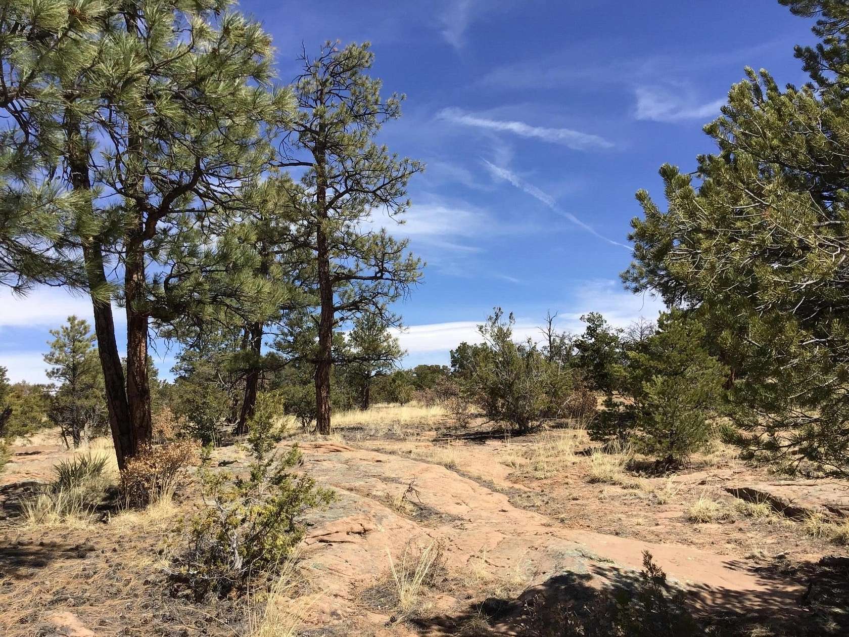 2.5 Acres of Residential Land for Sale in Ramah, New Mexico