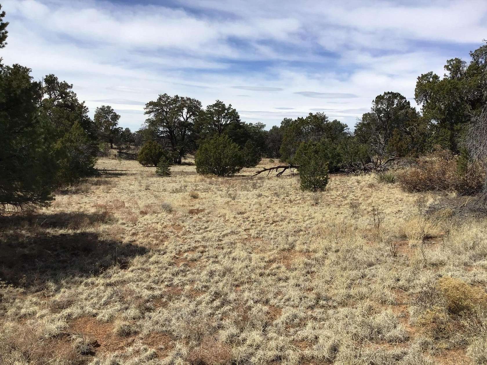 5 Acres of Residential Land for Sale in Ramah, New Mexico