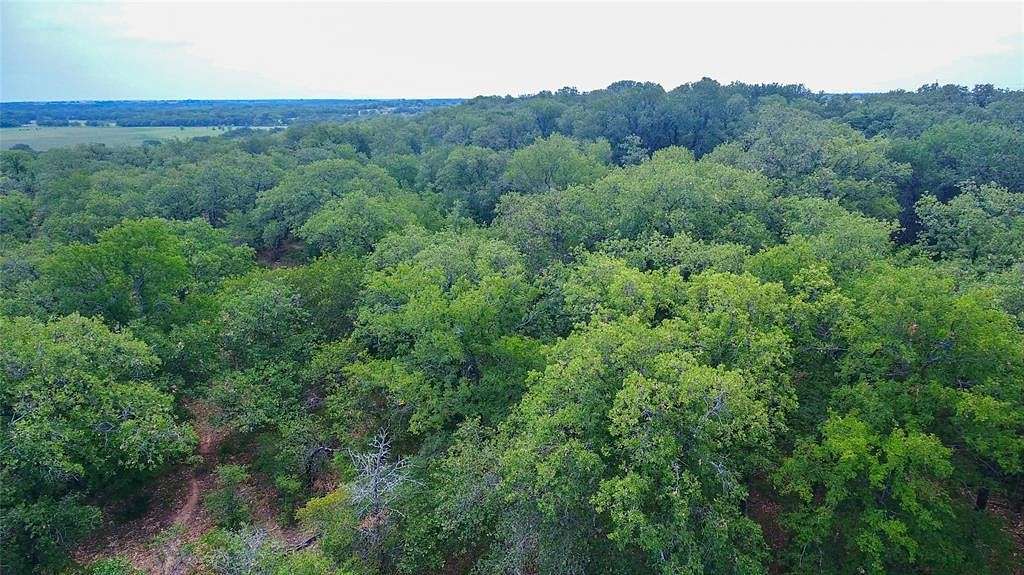 25.4 Acres of Land for Sale in Desdemona, Texas