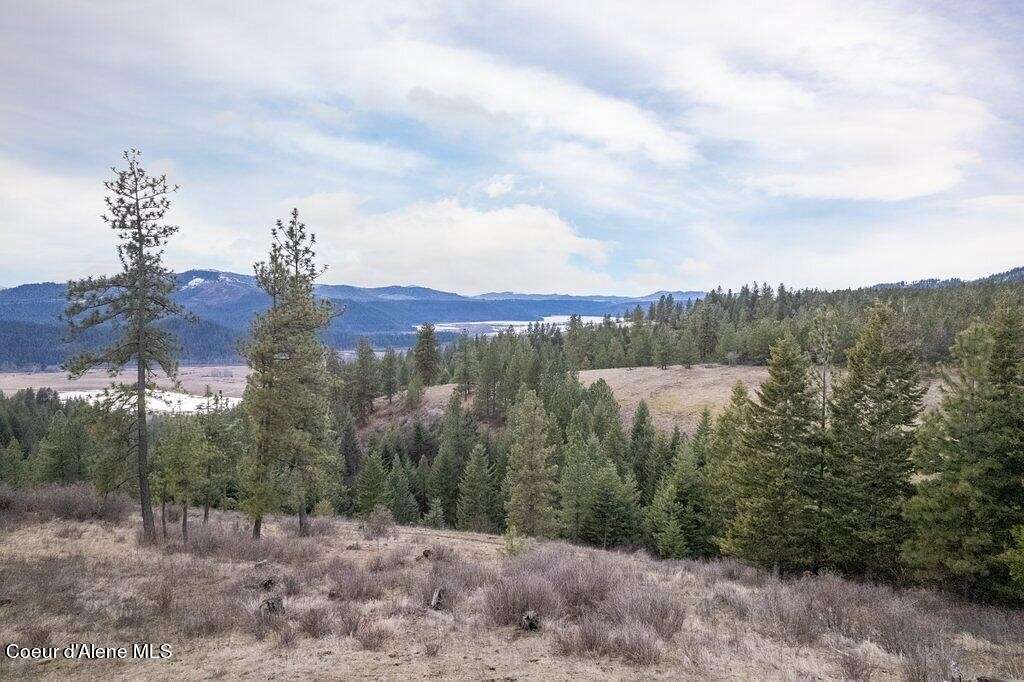 20.4 Acres of Land for Sale in St. Maries, Idaho