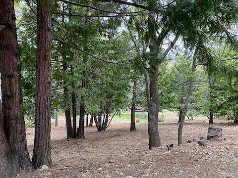 0.4 Acres of Residential Land for Sale in Murphys, California