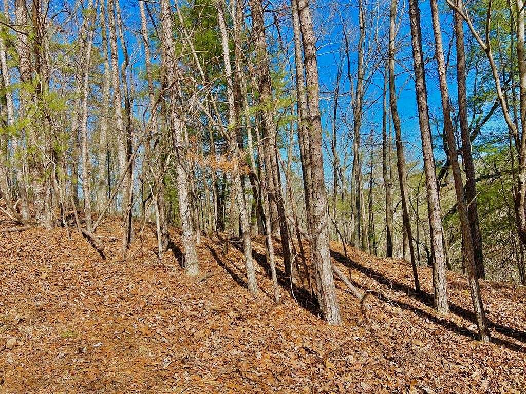1.3 Acres of Land for Sale in Ranger, Georgia