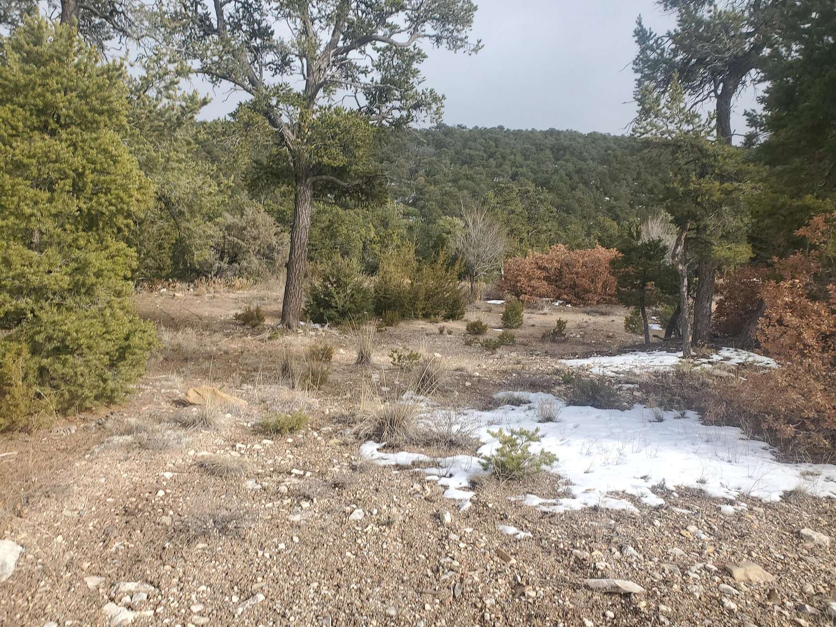 1.08 Acres of Residential Land for Sale in Tijeras, New Mexico